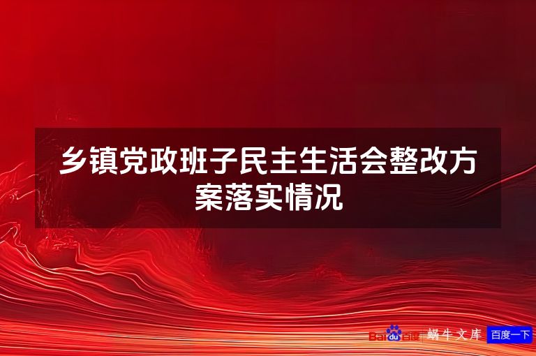 乡镇党政班子民主生活会整改方案落实情况