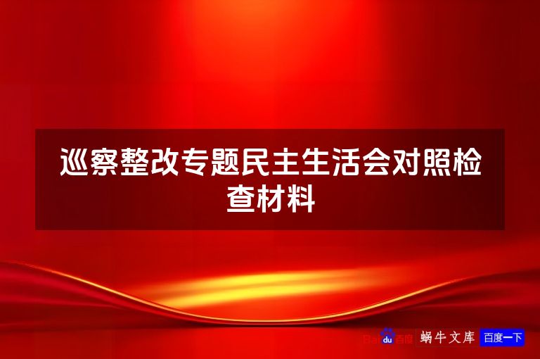巡察整改专题民主生活会对照检查材料
