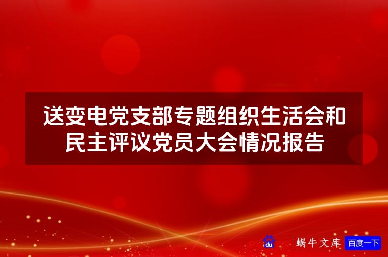送变电党支部专题组织生活会和民主评议党员大会情况报告