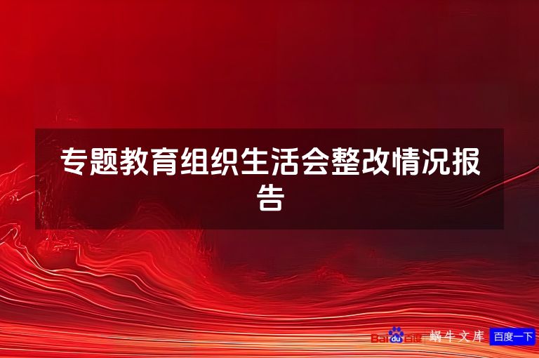 专题教育组织生活会整改情况报告