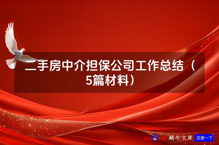 二手房中介担保公司工作总结（5篇材料）
