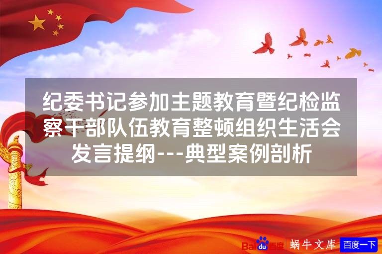 纪委书记参加主题教育暨纪检监察干部队伍教育整顿组织生活会发言提纲---典型案例剖析