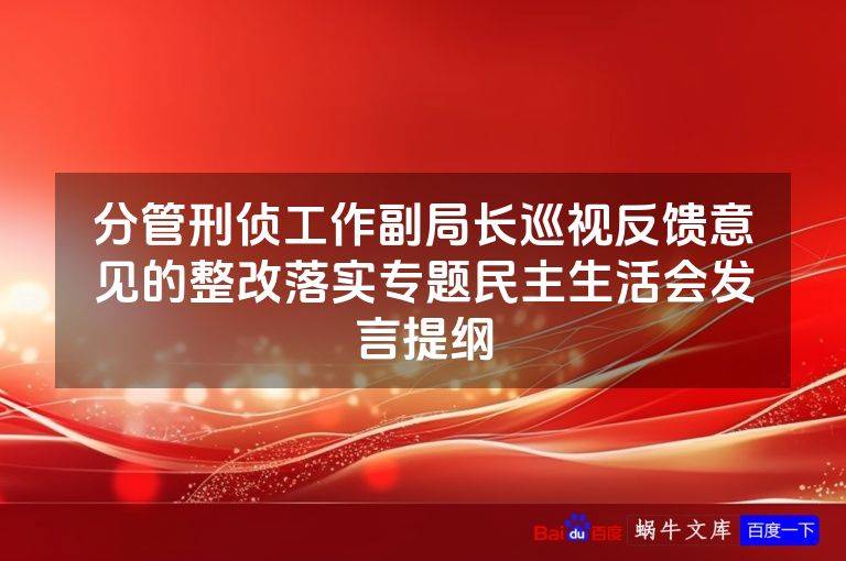 分管刑侦工作副局长巡视反馈意见的整改落实专题民主生活会发言提纲