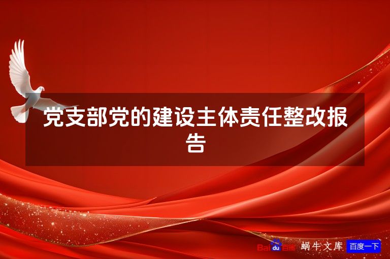 党支部党的建设主体责任整改报告