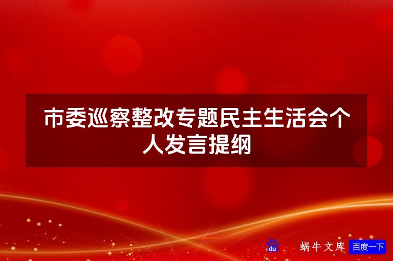 市委巡察整改专题民主生活会个人发言提纲