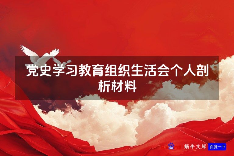 党史学习教育组织生活会个人剖析材料