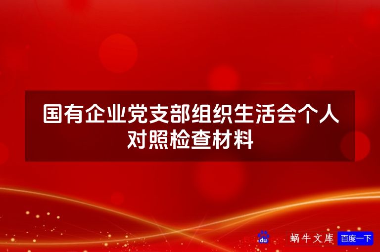 国有企业党支部组织生活会个人对照检查材料