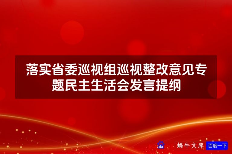 落实省委巡视组巡视整改意见专题民主生活会发言提纲
