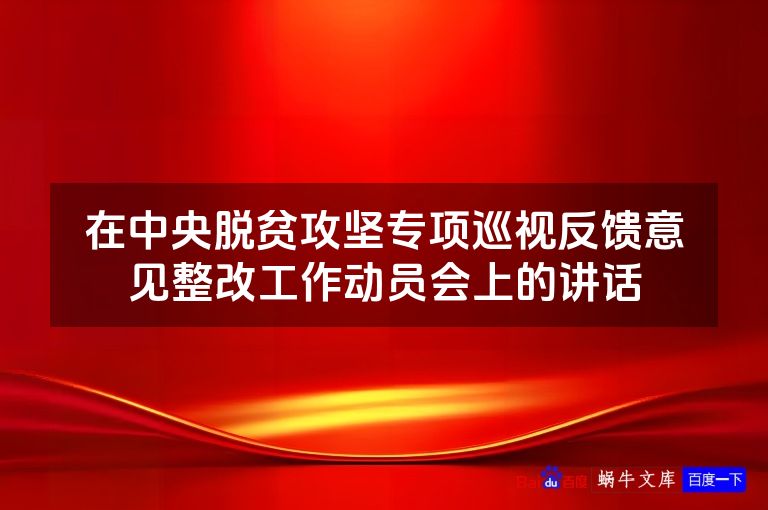 在中央脱贫攻坚专项巡视反馈意见整改工作动员会上的讲话