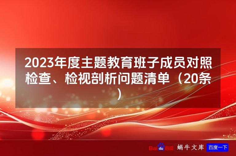 2023年度主题教育班子成员对照检查、检视剖析问题清单(20条)
