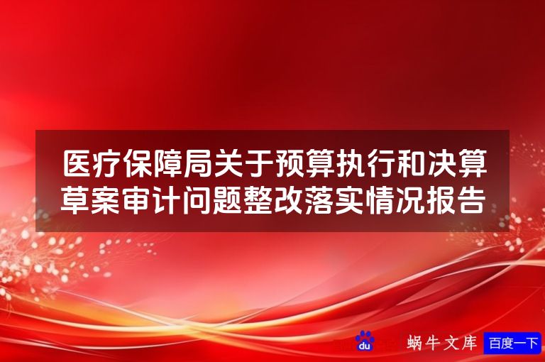 医疗保障局关于预算执行和决算草案审计问题整改落实情况报告