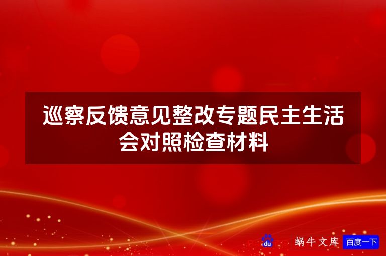 巡察反馈意见整改专题民主生活会对照检查材料