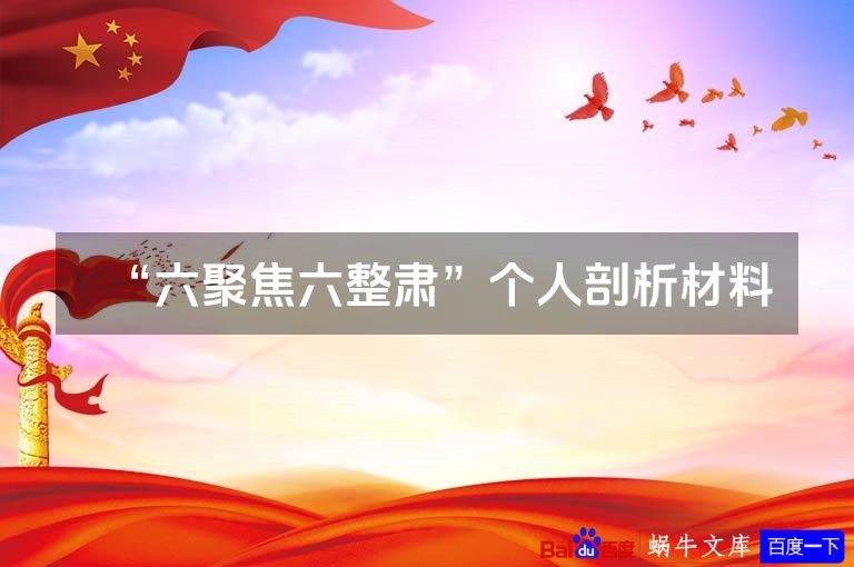 “六聚焦六整肃”个人剖析材料