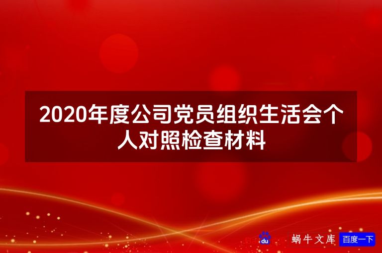 2020年度公司党员组织生活会个人对照检查材料