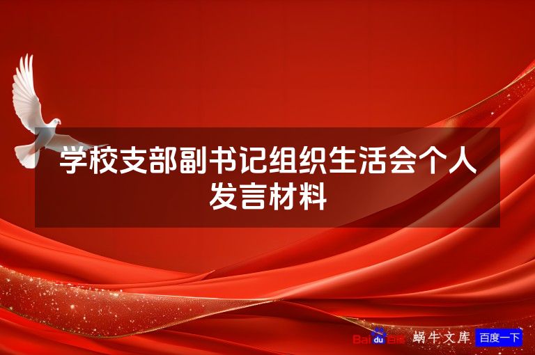 学校支部副书记组织生活会个人发言材料