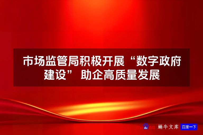 市场监管局积极开展“数字政府建设” 助企高质量发展