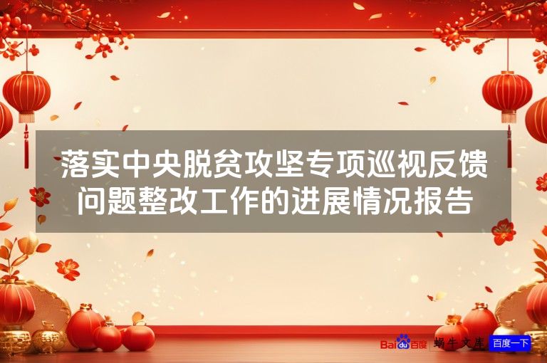 落实中央脱贫攻坚专项巡视反馈问题整改工作的进展情况报告