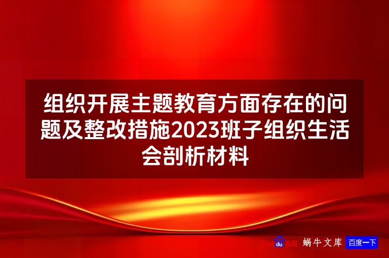 组织开展主题教育方面存在的问题及整改措施2023班子组织生活会剖析材料