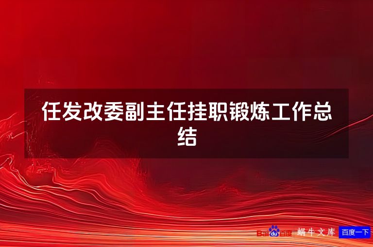 任发改委副主任挂职锻炼工作总结