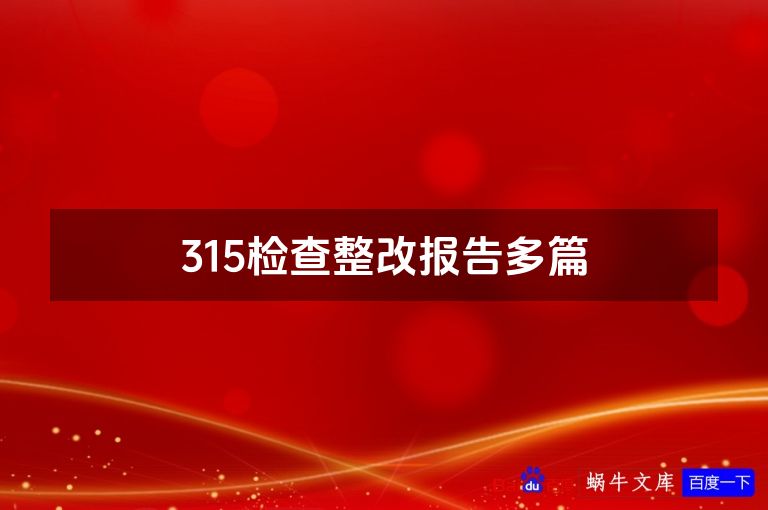 315检查整改报告多篇