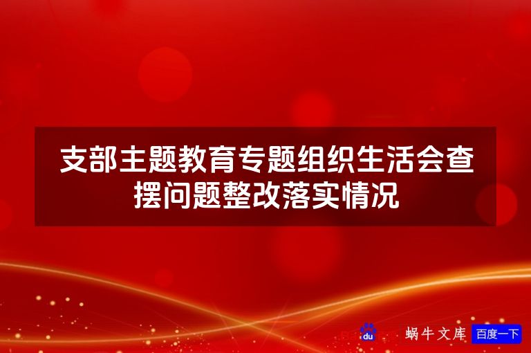 支部主题教育专题组织生活会查摆问题整改落实情况