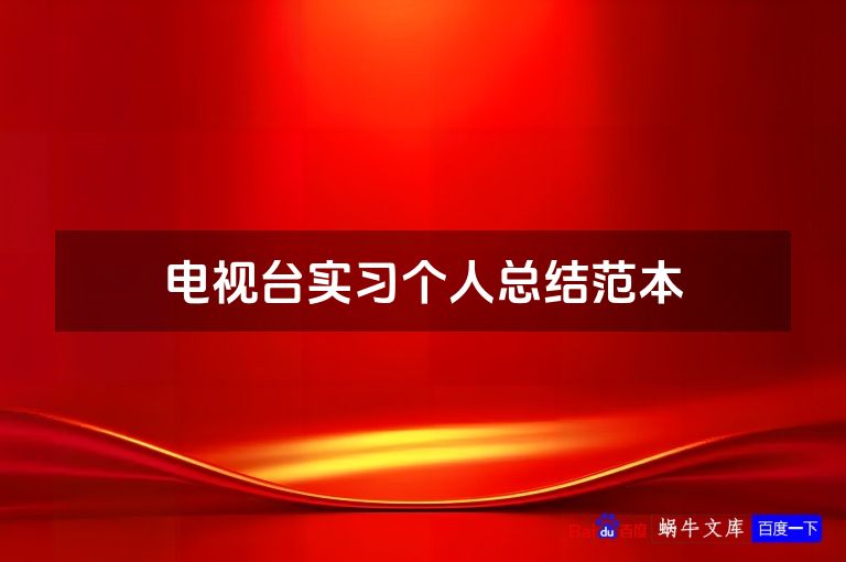 电视台实习个人总结范本