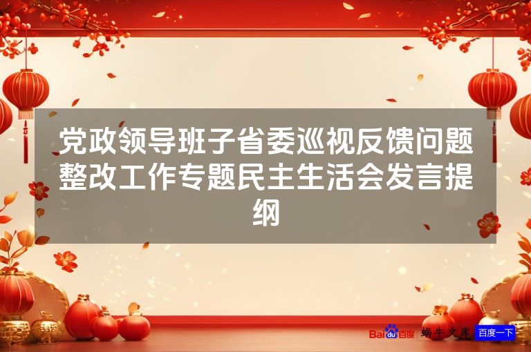 党政领导班子省委巡视反馈问题整改工作专题民主生活会发言提纲