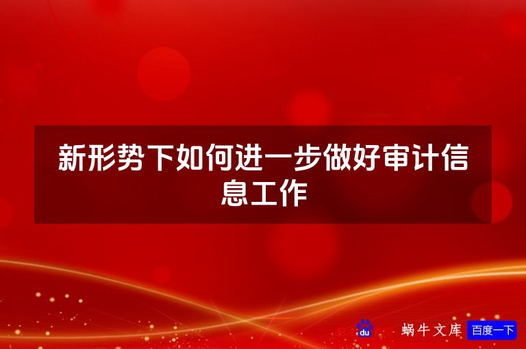 新形势下如何进一步做好审计信息工作