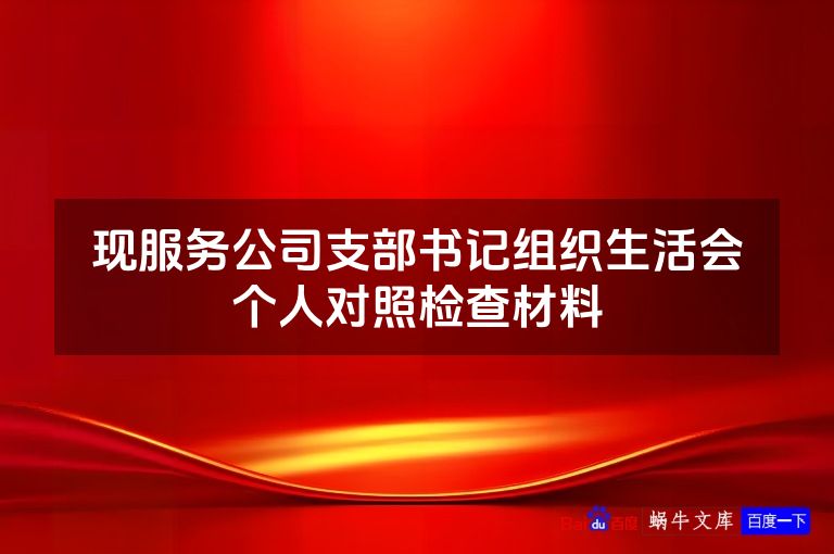 现服务公司支部书记组织生活会个人对照检查材料