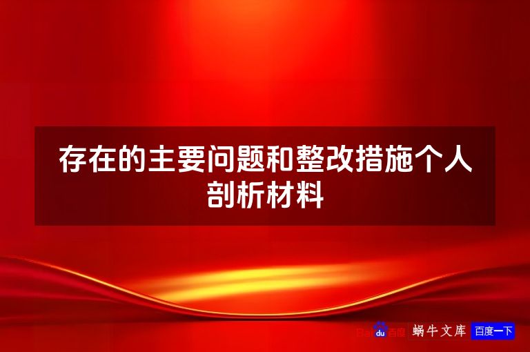 存在的主要问题和整改措施个人剖析材料