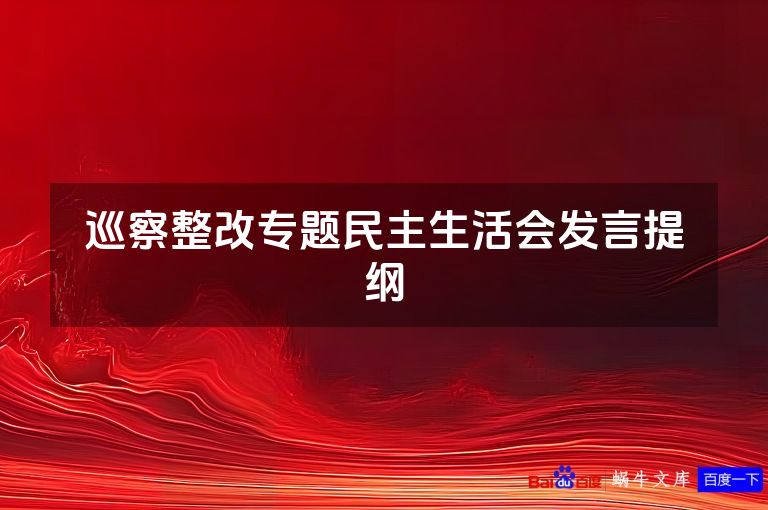 巡察整改专题民主生活会发言提纲