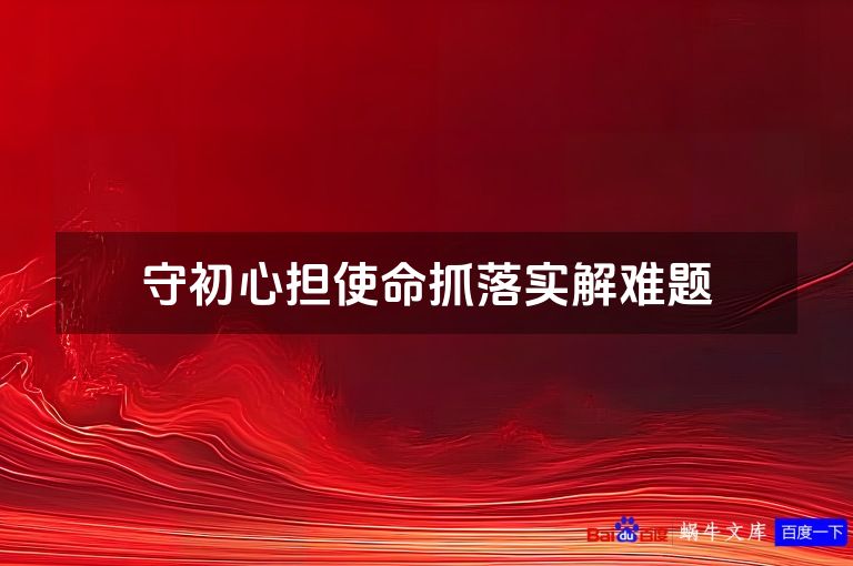 守初心担使命抓落实解难题