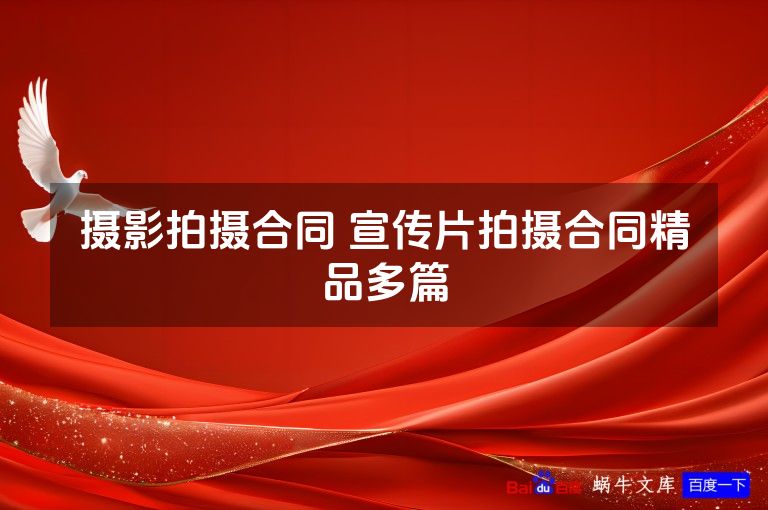 摄影拍摄合同 宣传片拍摄合同精品多篇