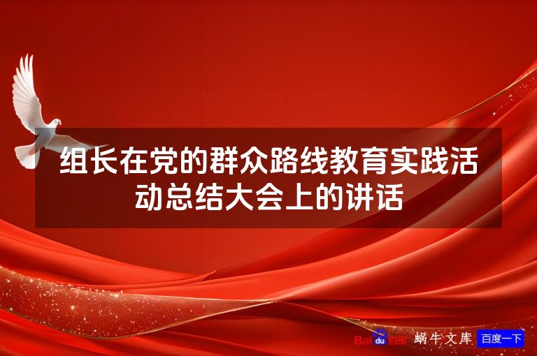 组长在党的群众路线教育实践活动总结大会上的讲话