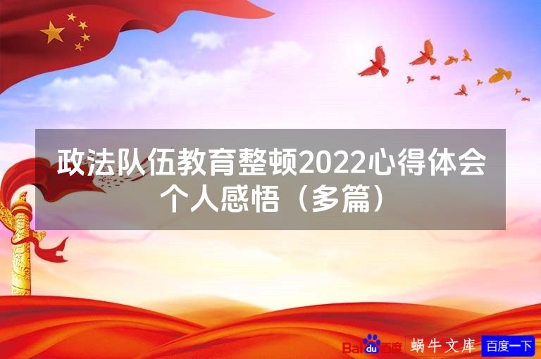政法队伍教育整顿2022心得体会个人感悟（多篇）
