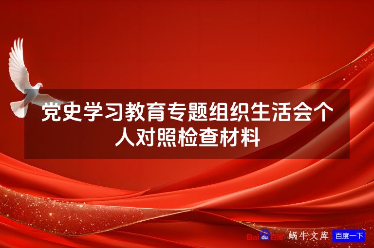 党史学习教育专题组织生活会个人对照检查材料