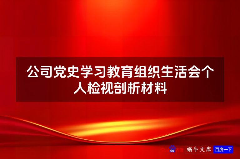 公司党史学习教育组织生活会个人检视剖析材料