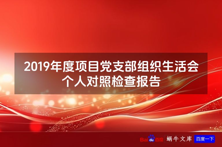 2019年度项目党支部组织生活会个人对照检查报告