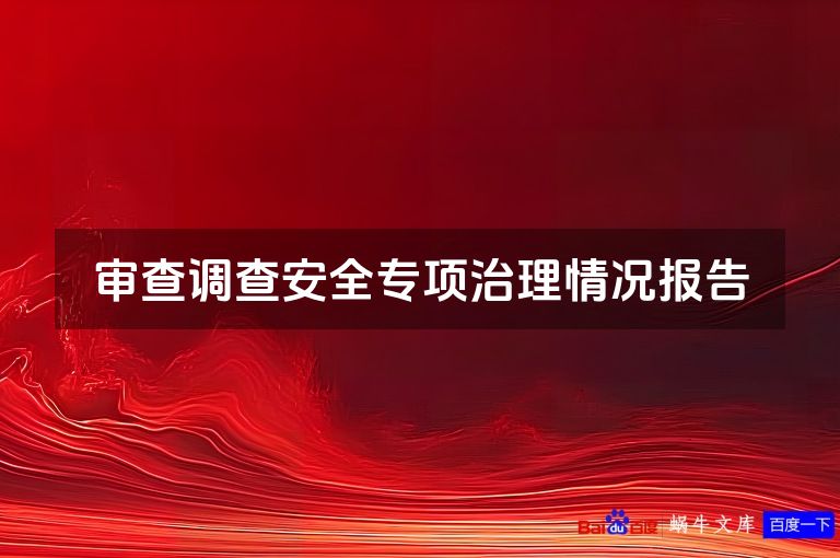 审查调查安全专项治理情况报告