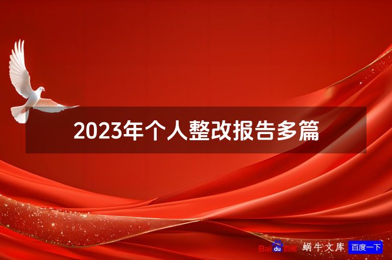 2023年个人整改报告多篇