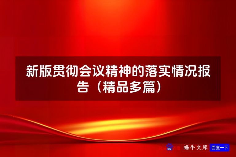 新版贯彻会议精神的落实情况报告（精品多篇）
