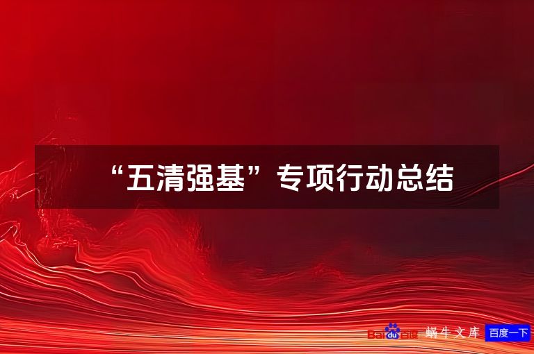 “五清强基”专项行动总结