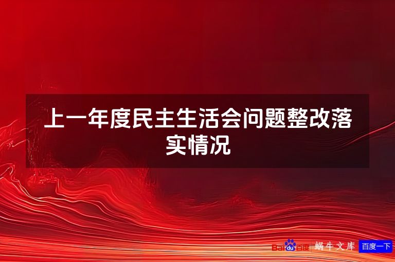 上一年度民主生活会问题整改落实情况