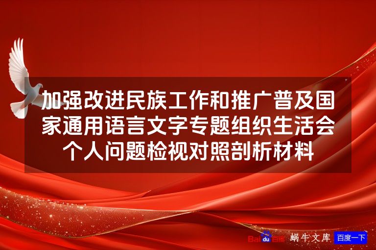 加强改进民族工作和推广普及国家通用语言文字专题组织生活会个人问题检视对照剖析材料