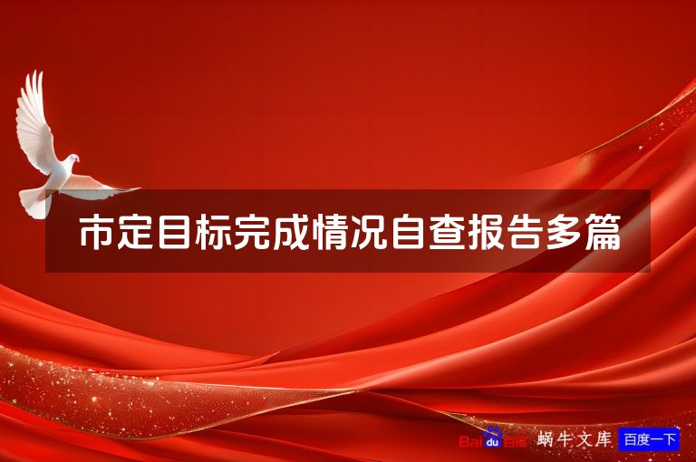市定目标完成情况自查报告多篇