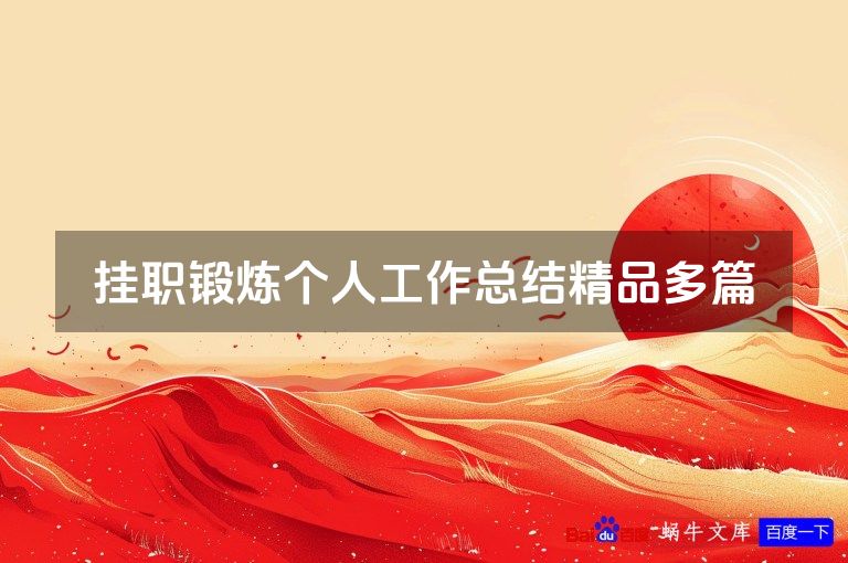 挂职锻炼个人工作总结精品多篇