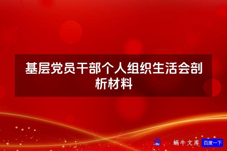 基层党员干部个人组织生活会剖析材料