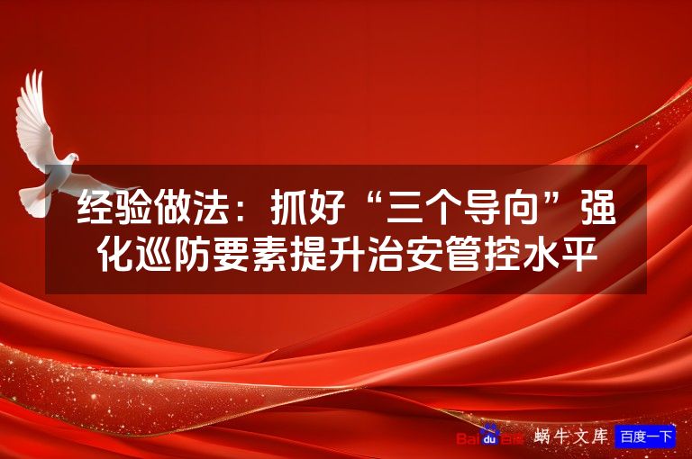 经验做法：抓好“三个导向”强化巡防要素提升治安管控水平