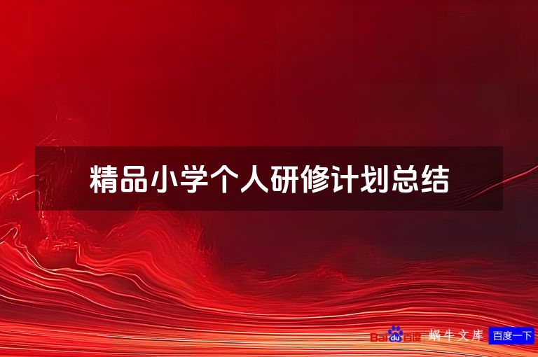 精品小学个人研修计划总结