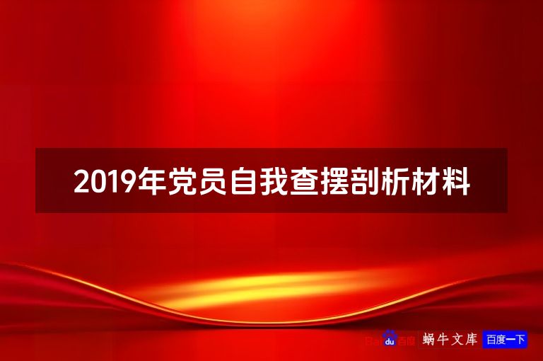 2019年党员自我查摆剖析材料